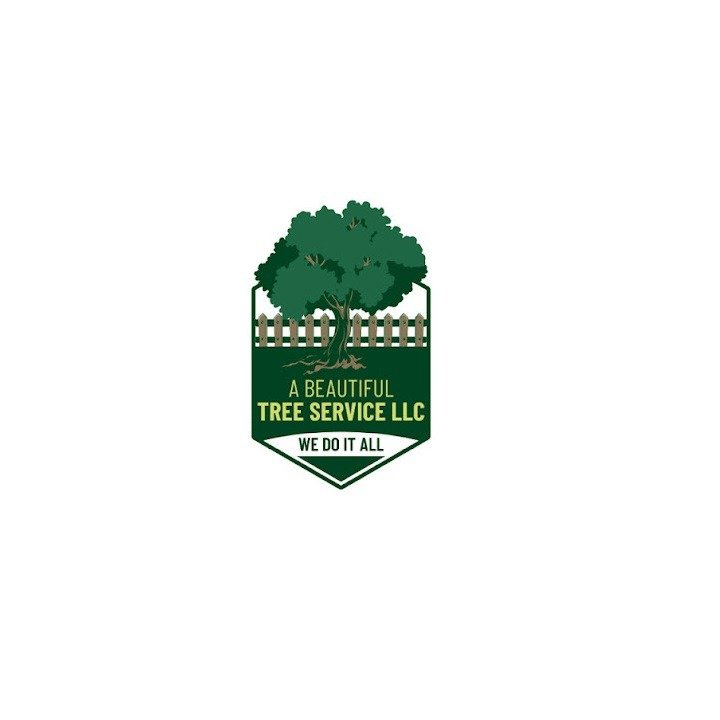 A Beautiful Tree Service