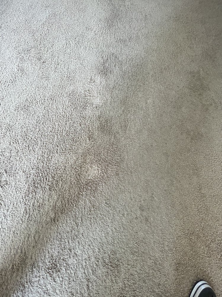 Classic Carpet & Tile Cleaning