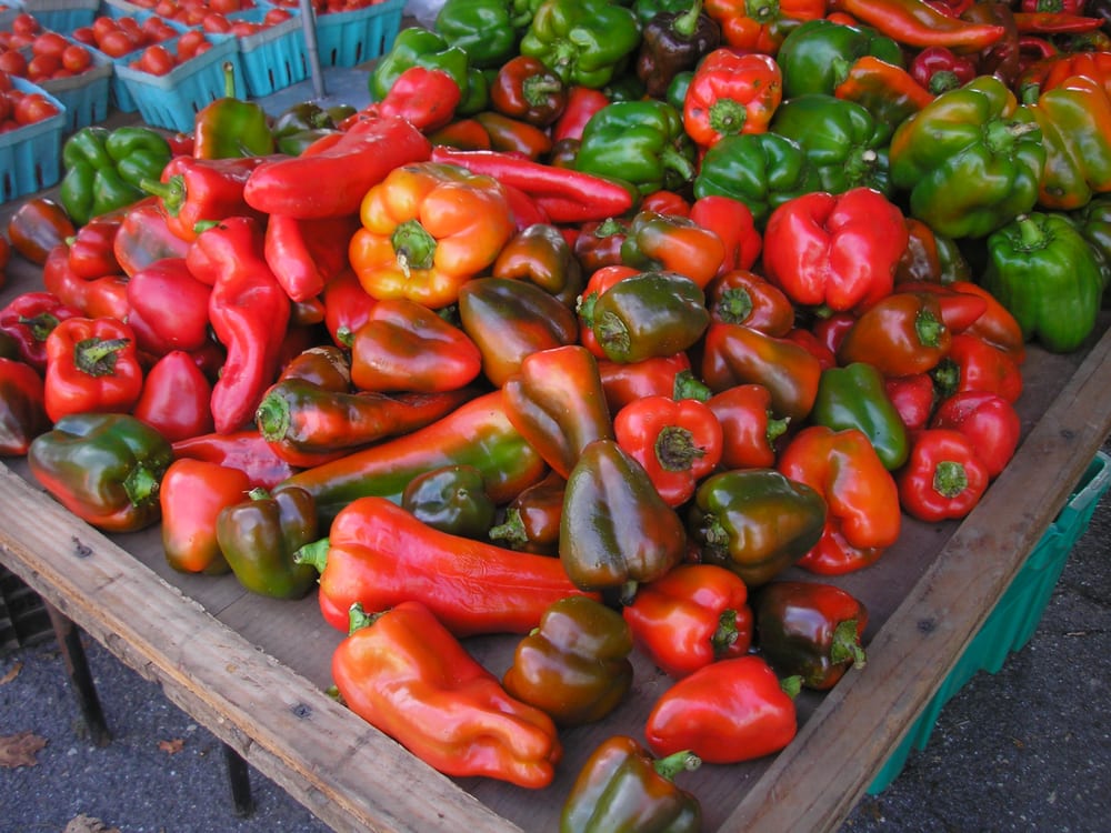 New Canaan Farmers Market