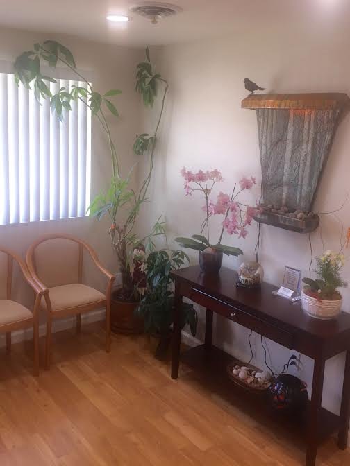 image of business Stephanie Zhang, DDS