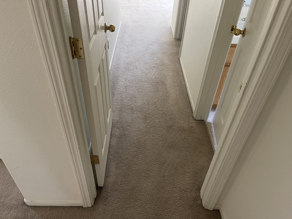 Clean To The Maxx Carpet Cleaning