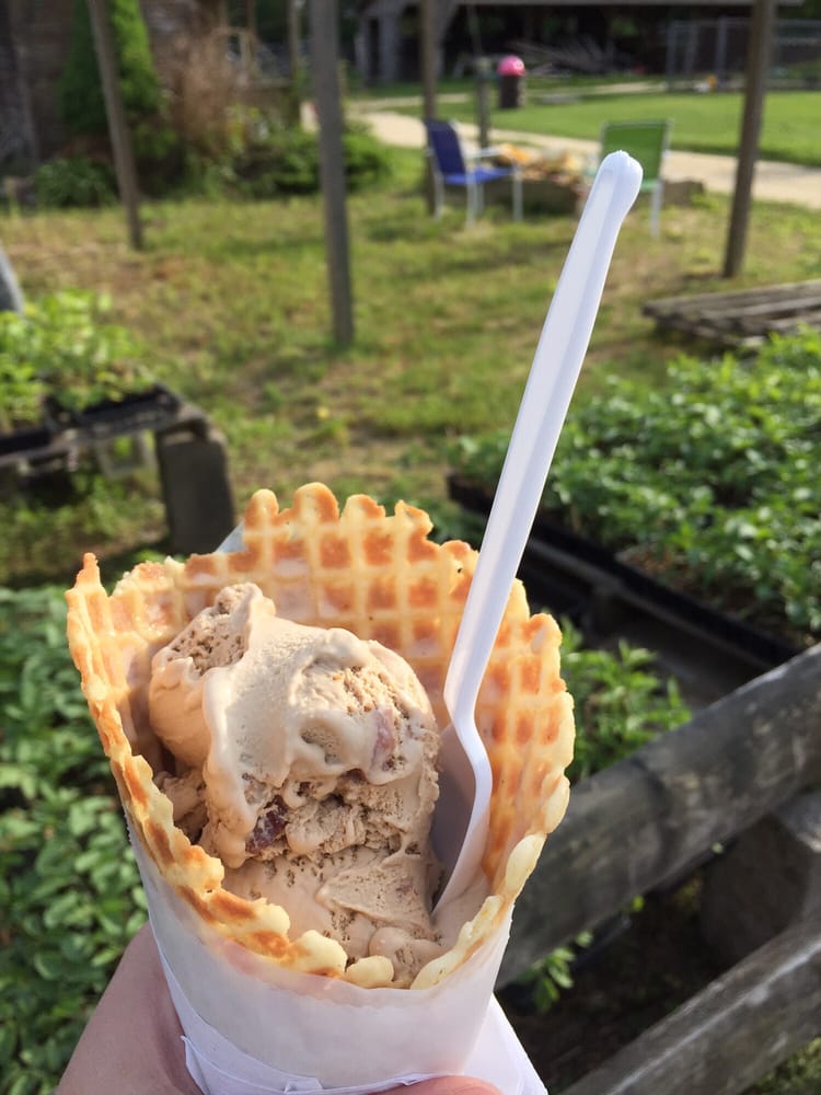 WeLiKit Ice Cream 26 Photos & 39 Reviews Ice Cream & Frozen