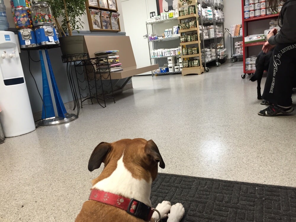 Diamond Animal Hospital + Emergency Services 29 Reviews