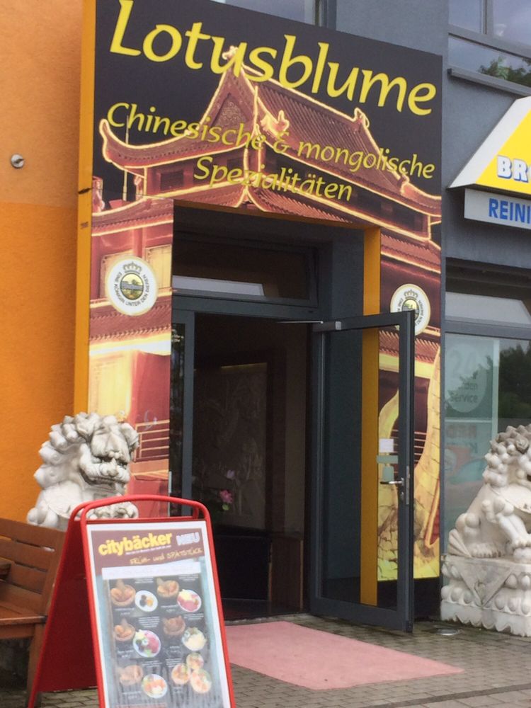 Lotusblume Dortmund Lotusblume Dortmund