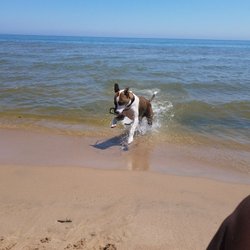 Point Beach State Forest 16 Photos Beaches 9400 County Hwy Photo Of Point Beach State Forest Two Rivers Wi United States