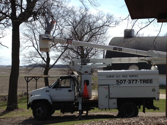 Photos For Albert Lea Tree Service Yelp