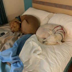 Motel 6 17 Reviews Hotels 211 W Marty Dr Avoca Ia Phone Photo Of Motel 6 Avoca Ia United States
