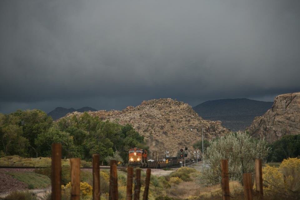 Mojave Narrows Regional Park 44 Photos & 28 Reviews Parks 18000