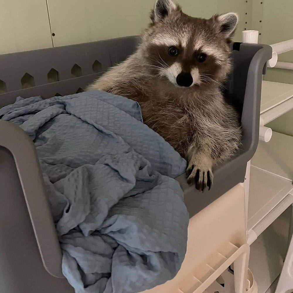 image of business Family Care Partners - Fleming Island