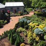 Pine Tree Nursery Garden Center Nurseries Gardening 200 Crocker Nurseries