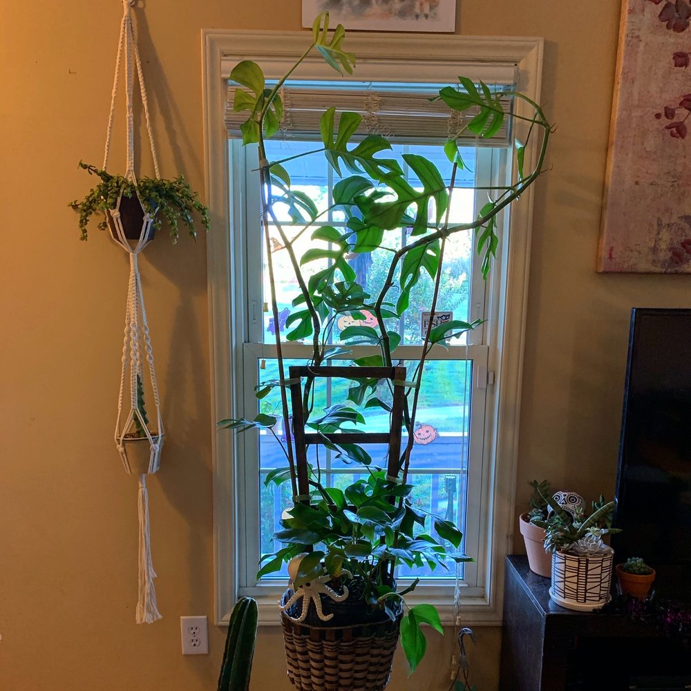 Godley's Garden Center & Nursery