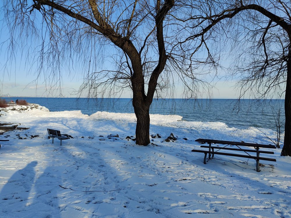 Rattray Marsh