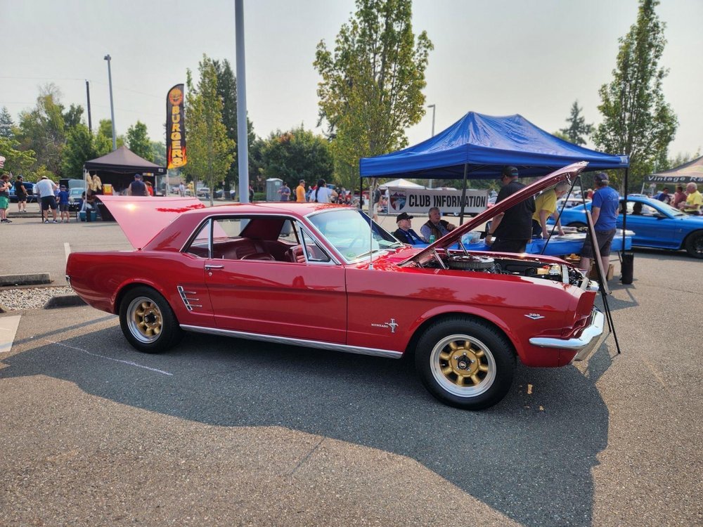 Dirty2Dreamy Ceramic Coating and Paint Protection Film