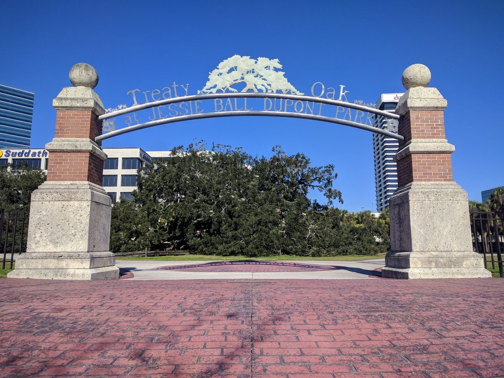 Treaty Oak Park 33 Photos & 12 Reviews Parks 1123 Prudential Dr