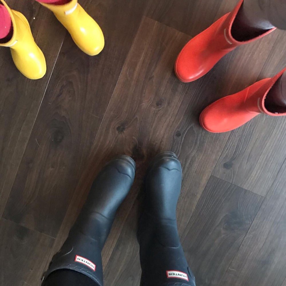 image of business The Carpet Guys