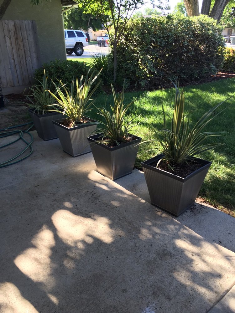 Carlos Cruz Lawn Care