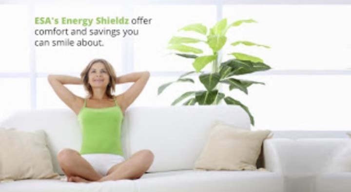 image of business Energy Solutions of America