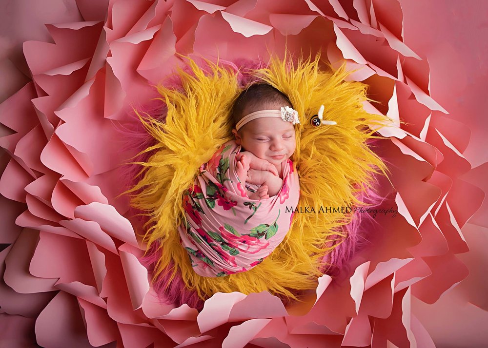 Malka Ahmed Photography