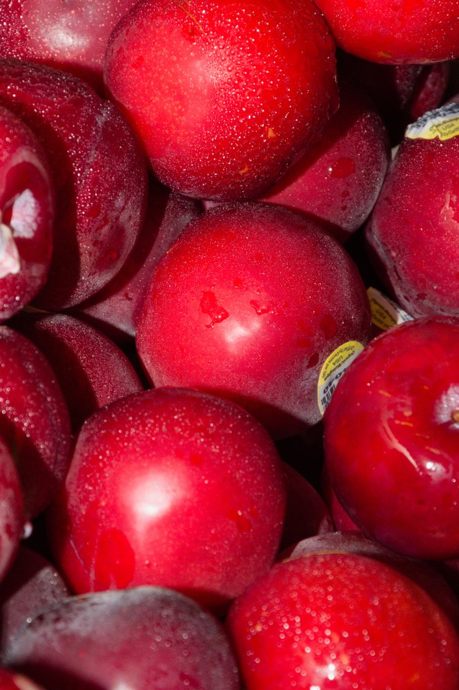 Central Florida Organics