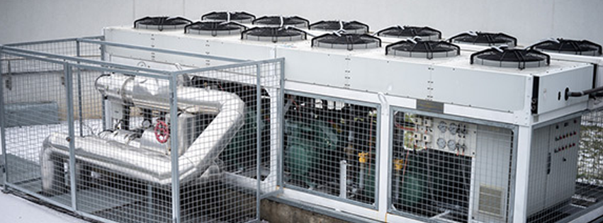 image of business Alexander