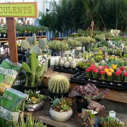 Photos For Green Acres Nursery Supply Yelp Photo Of Green Acres Nursery Supply Folsom Ca United States I