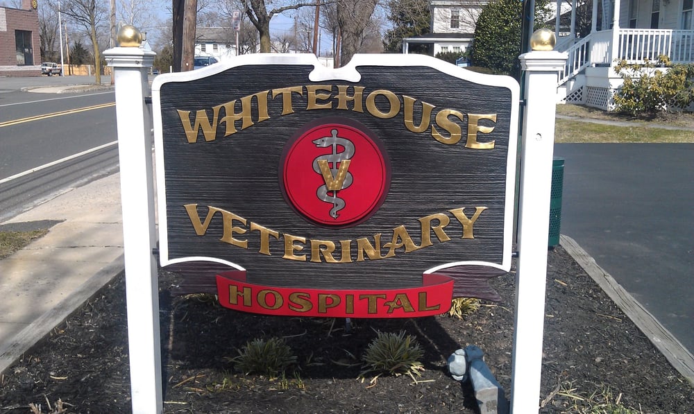 Whitehouse Veterinary Hospital 2019 All You Need to Know BEFORE You Go (with Photos