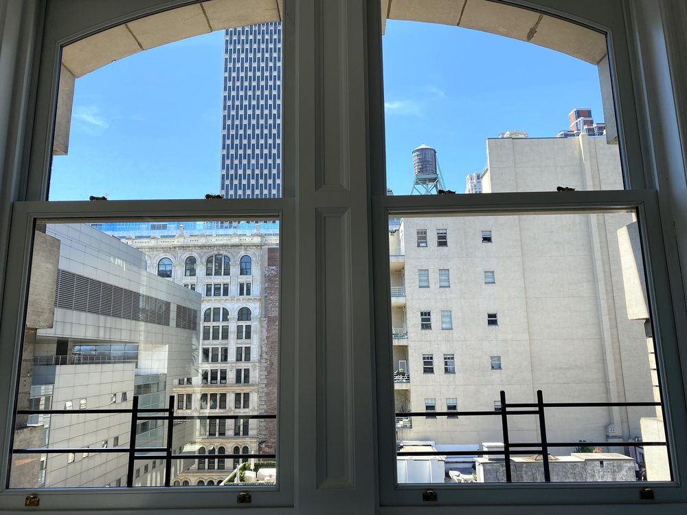 Sentry Window Guards