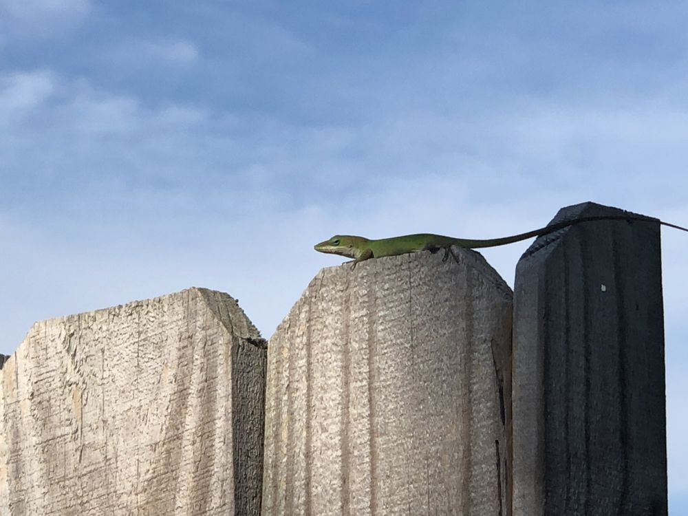 A Fuller Home Inspection