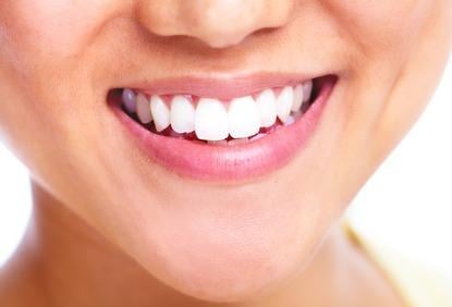 image of business G J Palmieri, DDS & Associates