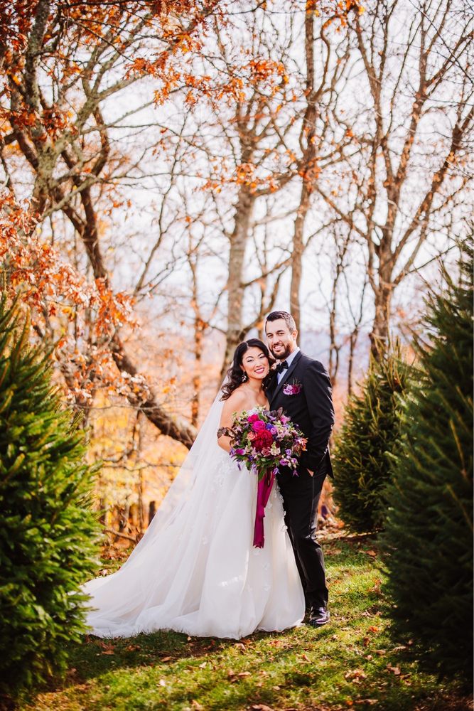 Golden Thistle Design