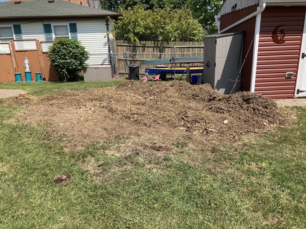 Scott's Tree & Stump Removal