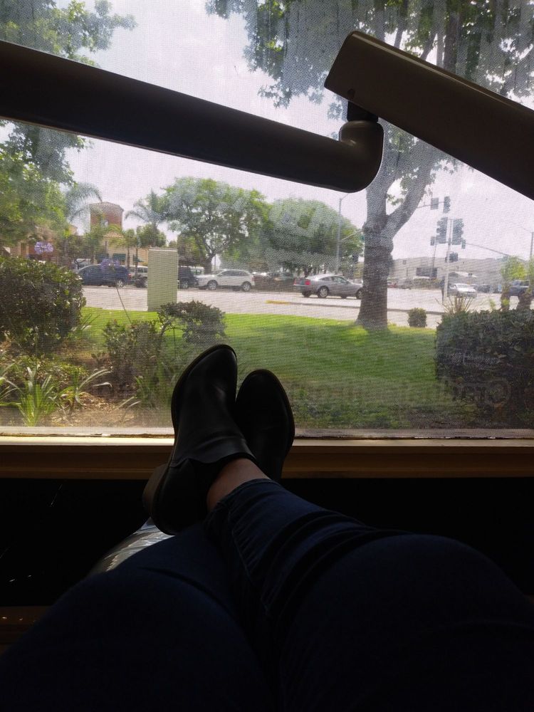 image of business Denise Maroon, DDS