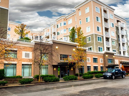 New London Media International