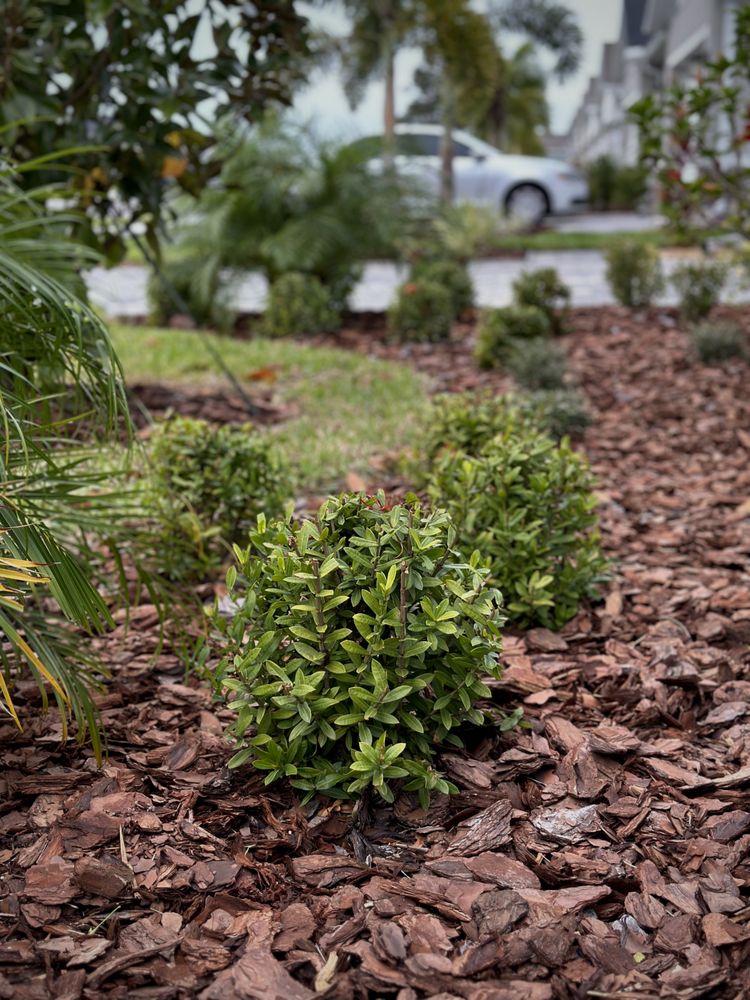 J's Landscaping