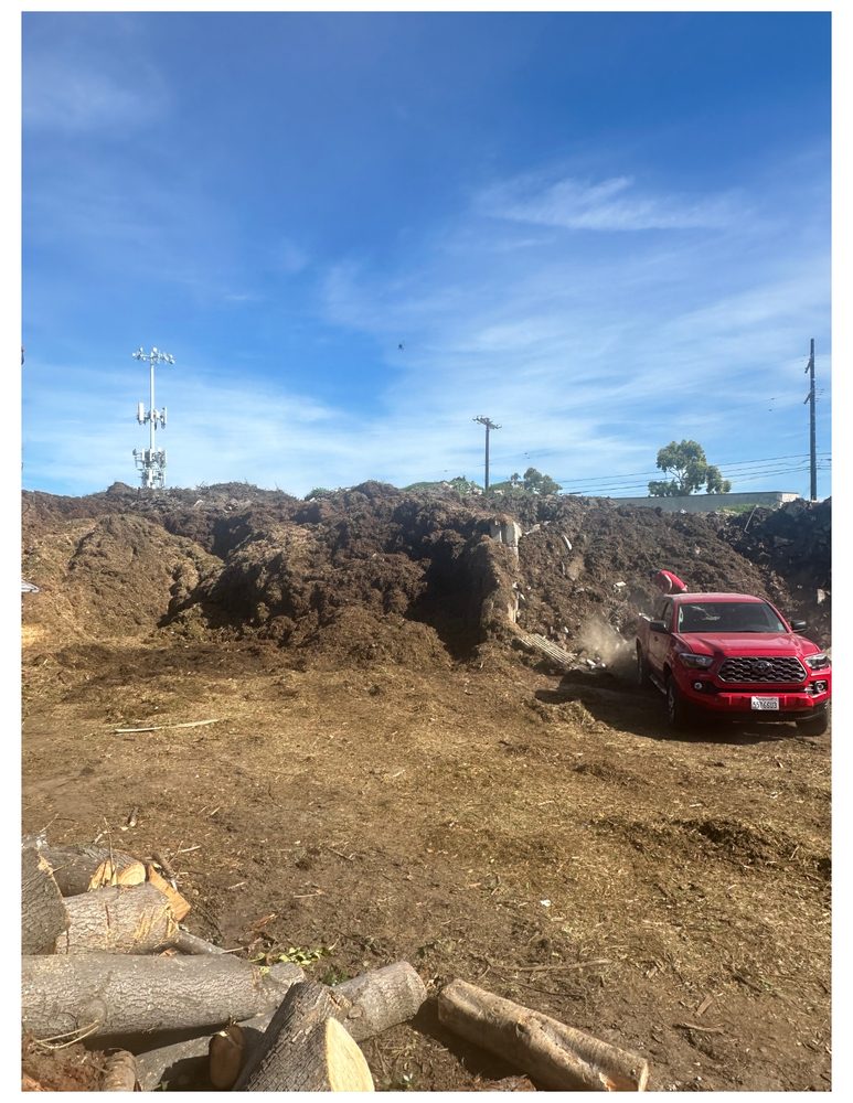J Ruiz Landscaping