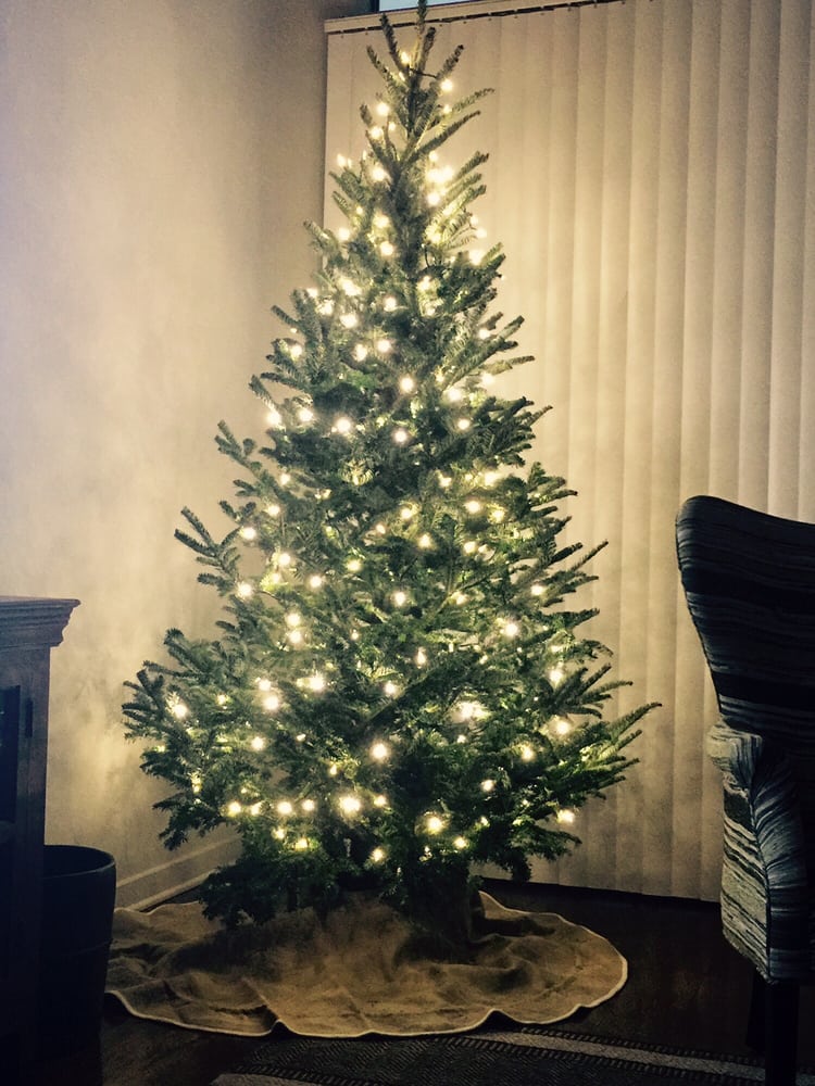 montana fresh christmas trees 11 photos 16 reviews christmas montana fresh christmas trees 11 photos 16 reviews christmas trees 7601 burnet rd crestview austin tx phone number yelp