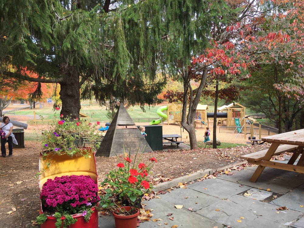 Ansonia Nature Center 13 Photos Recreation Centers 10 Deerfield