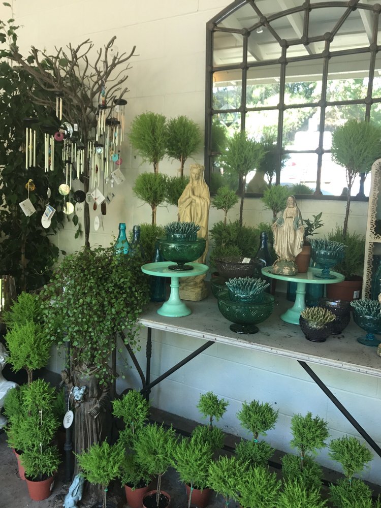 Photos For Orchard Nursery Florist Yelp Photo Of Orchard Nursery Florist Lafayette Ca United States