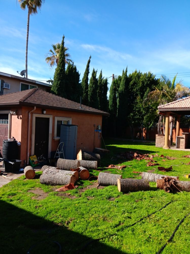 Affordable Tree Service