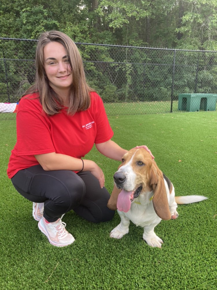 All American Pet Resort - New Bern