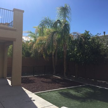 Results Services 17 Photos Landscaping Las Vegas Nv Phone Photo Of Results Services Las Vegas Nv United States Cleaned Up Our