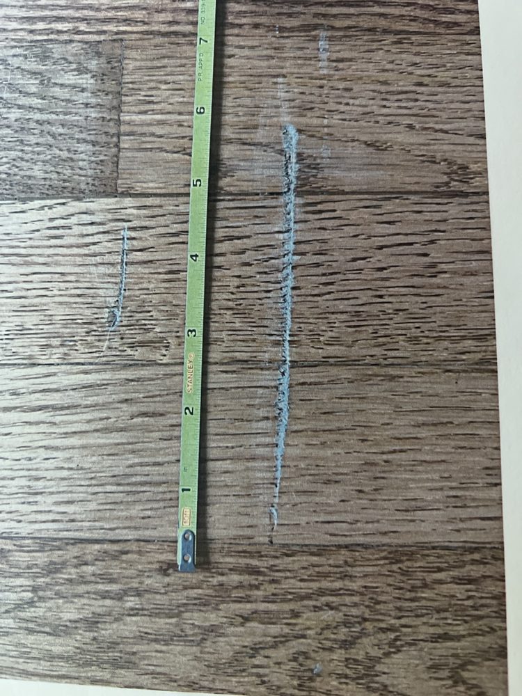 Austin's Moving Company