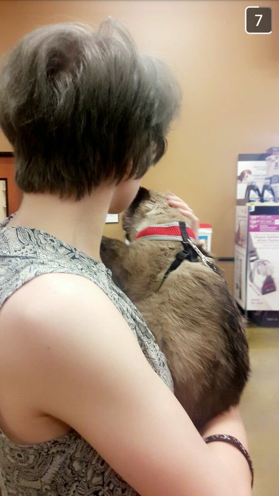 PetSmart Pet Training 1929 Scenic Hwy N, Snellville, GA Phone