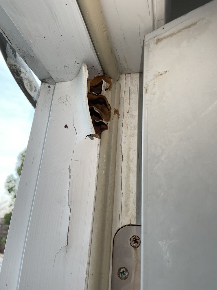 image of business HomeGuard