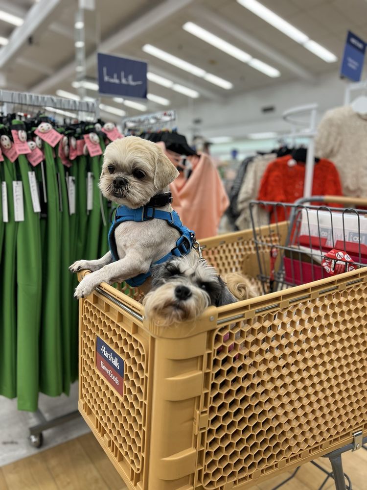 Marshalls & Homegoods
