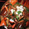 Best Tapas Bars in Palm Beach