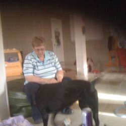 my best friend doggie daycare