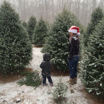 Anne Ellen Christmas Tree Farm - 18 Photos & 19 Reviews - Christmas Photo of Anne Ellen Christmas Tree Farm - Manalapan, NJ, United States. My - Anne Ellen Christmas Tree Farm - 18 Photos & 19 Reviews - Christmas