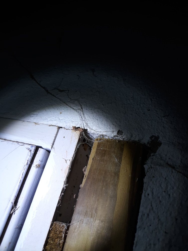 All Seasons Pest Control