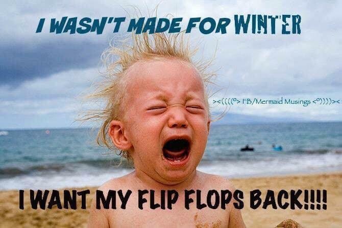Flip Flop Pool Service